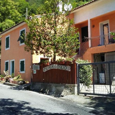 Casa Vacanze L'Agrifoglio Bed & Breakfast Magliolo ภายนอก รูปภาพ