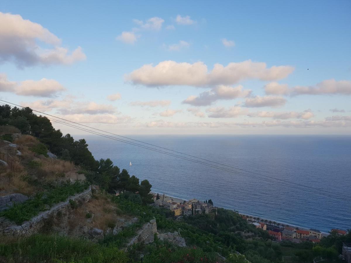 Casa Vacanze L'Agrifoglio Bed & Breakfast Magliolo ภายนอก รูปภาพ