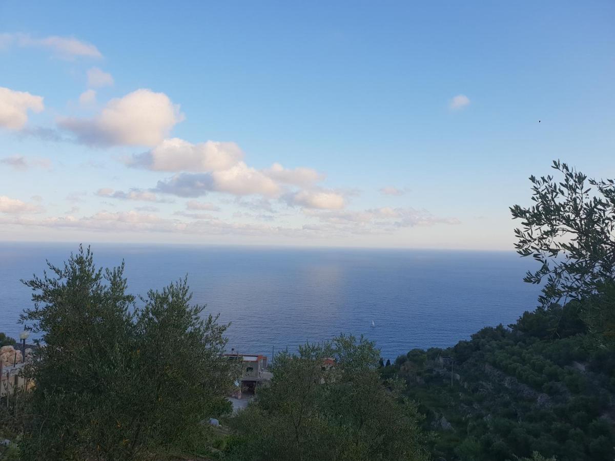 Casa Vacanze L'Agrifoglio Bed & Breakfast Magliolo ภายนอก รูปภาพ