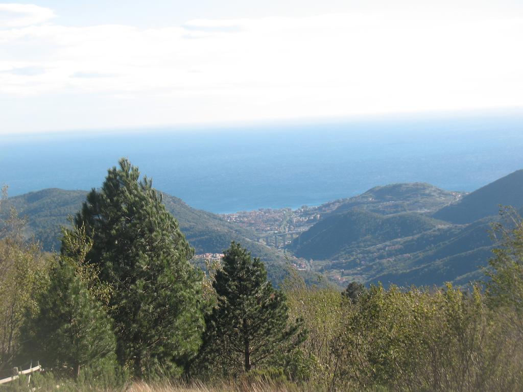 Casa Vacanze L'Agrifoglio Bed & Breakfast Magliolo ภายนอก รูปภาพ