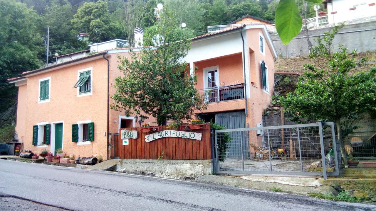 Casa Vacanze L'Agrifoglio Bed & Breakfast Magliolo ภายนอก รูปภาพ