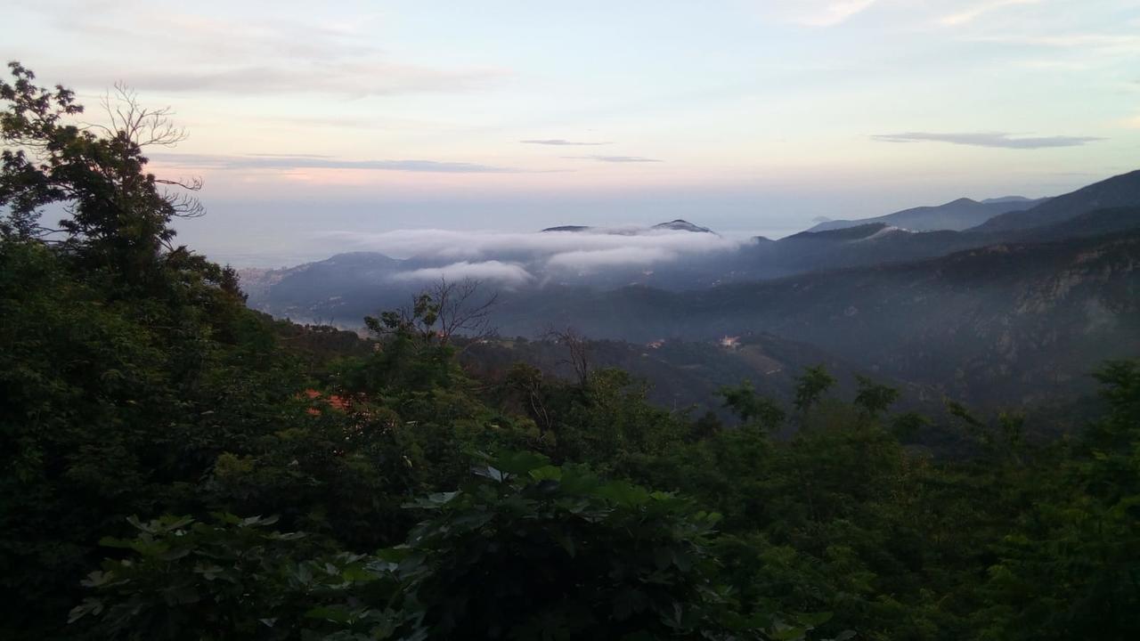 Casa Vacanze L'Agrifoglio Bed & Breakfast Magliolo ภายนอก รูปภาพ