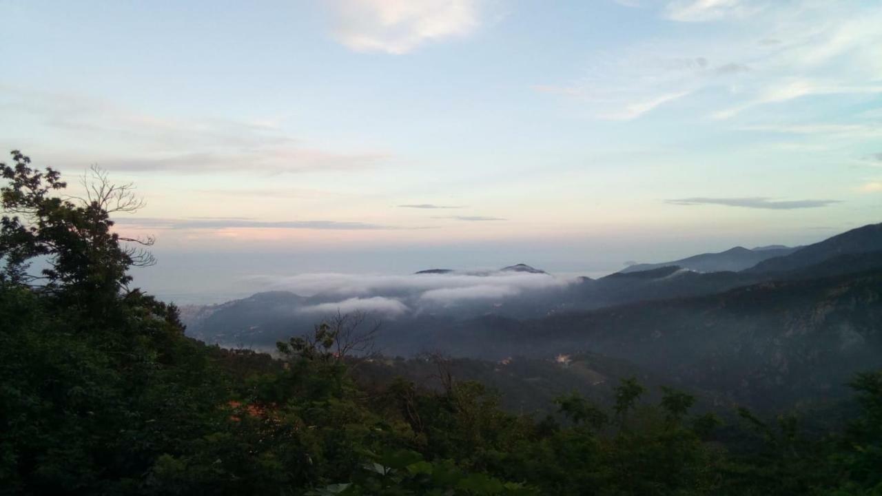 Casa Vacanze L'Agrifoglio Bed & Breakfast Magliolo ภายนอก รูปภาพ
